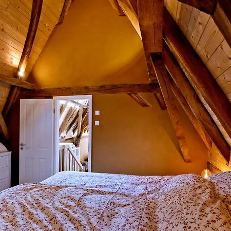 Apartment Hohe Rheinstraße Neun - Ferienhaus *