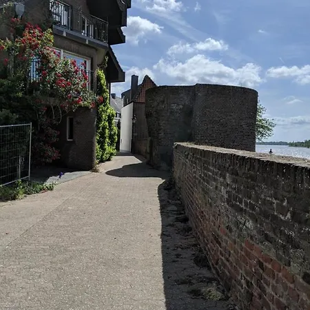 Apartment Hohe Rheinstraße Neun - Ferienhaus *